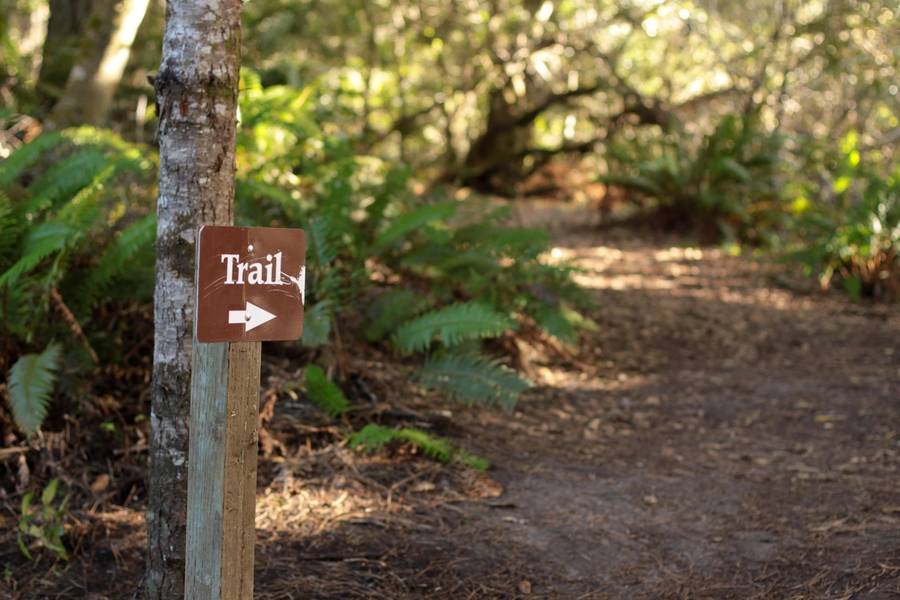 Trail sign pointing into a forest.