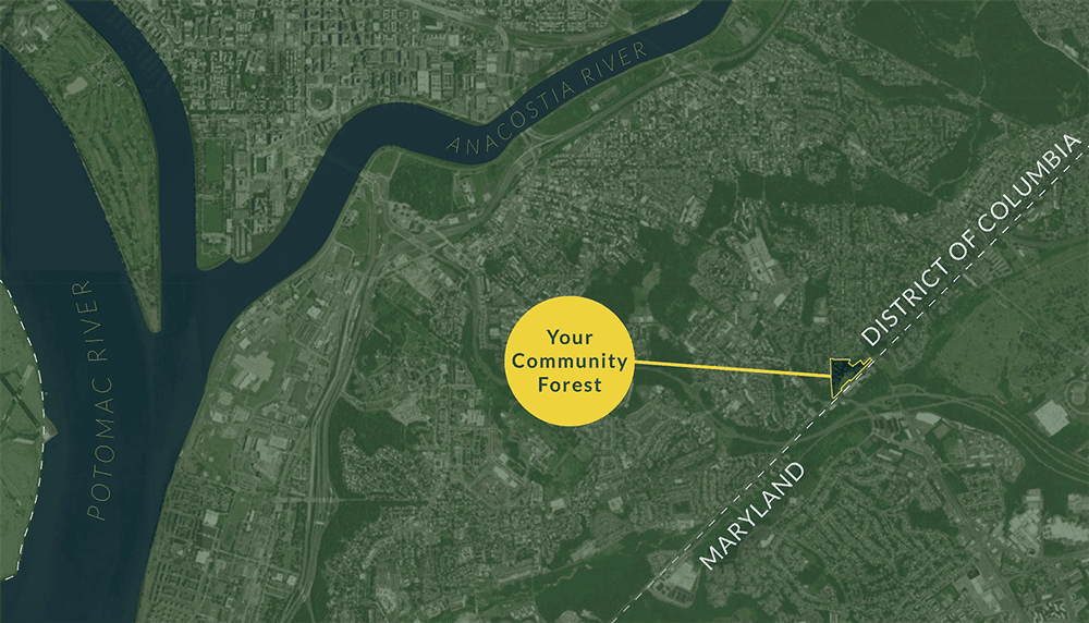A zoomed-out map showing the location of Your Community Forest in Southeast Washington, DC, on the Maryland-DC border.