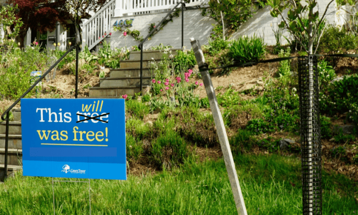 A yard sign says "This will is free" with the word "tree" crossed out and the word "will" handwritten.