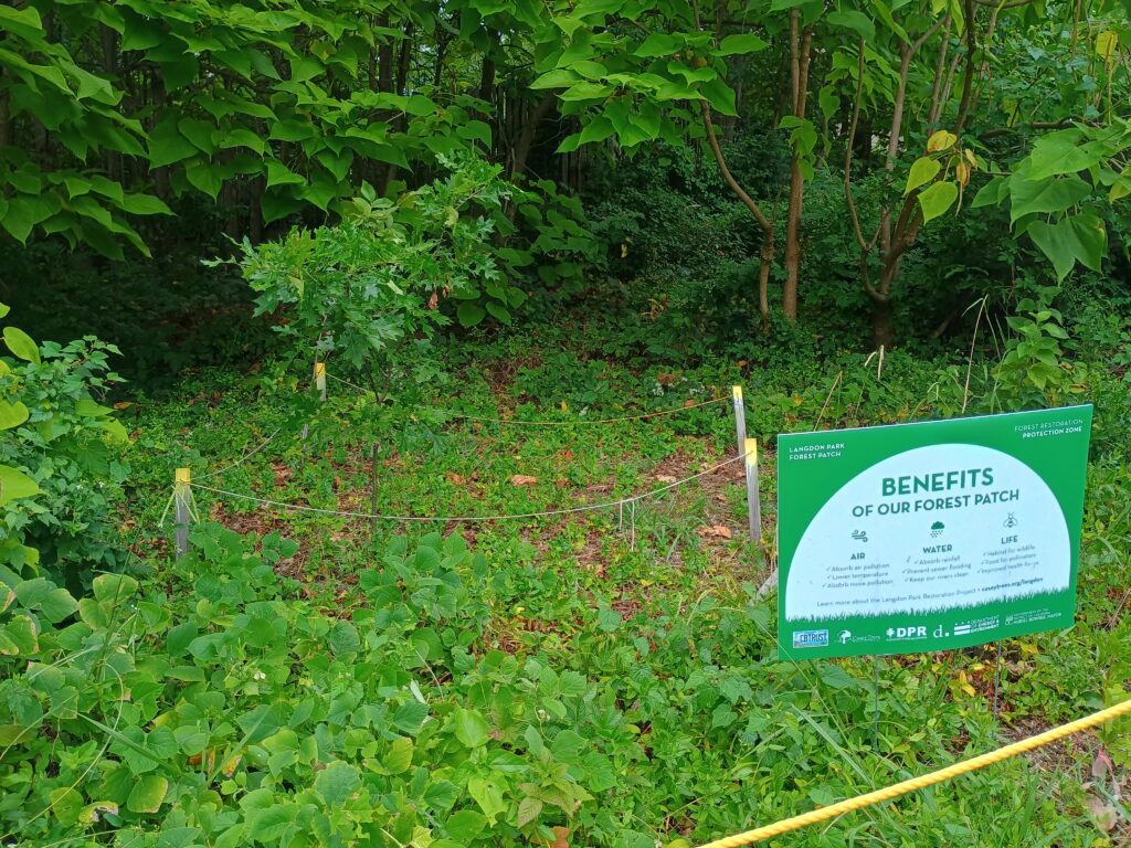 2025 ANR Plot