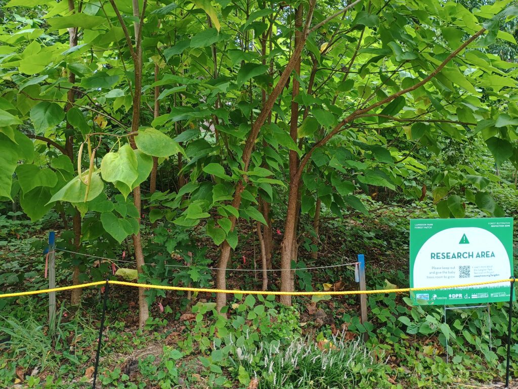 2023 ANR Plot