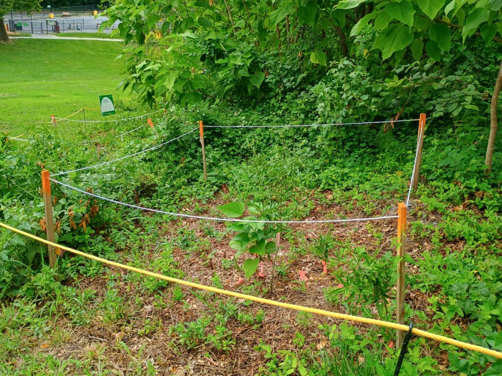 2026 ANR Plot