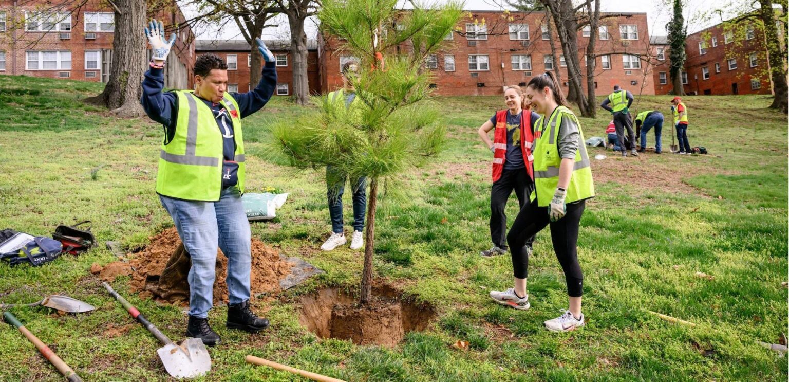 A volunteer celebrates a tree going into the ground at a tree planting event.