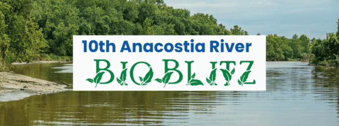 Text that says "10th Anacostia River Bio Blitz" over a photo of the Anacostia River.