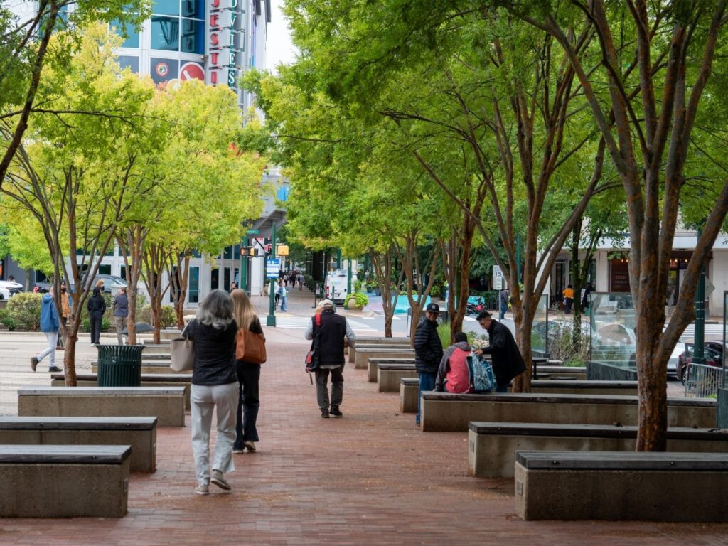 A tree-lined path outside the Silver Spring Civic Center.