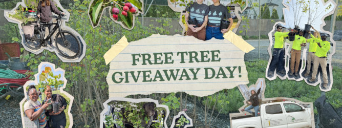 Graphic with the text "Free Tree Giveaway Day!" with photos from multiple Casey Trees tree giveaways.