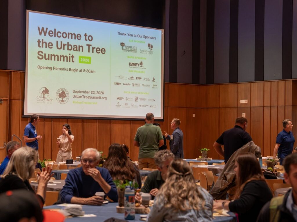 A picture of the presenting screen that says "Welcome to the Urban Tree Summit" with people sitting in chairs in the foreground.