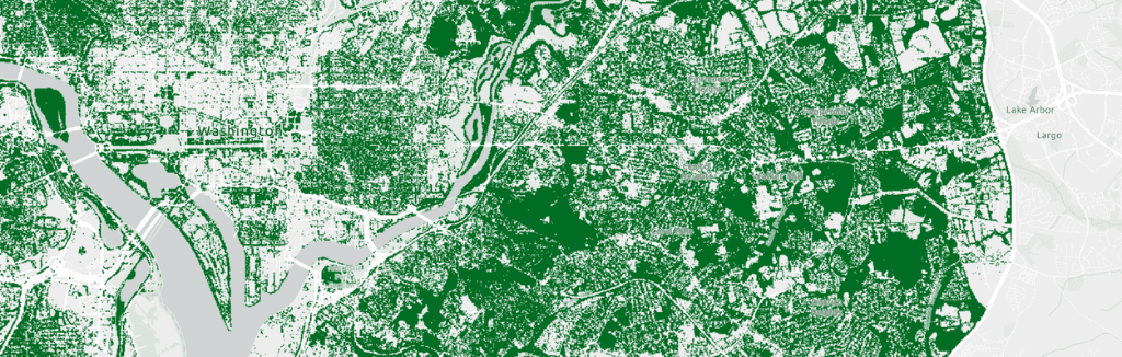 Screenshot of DC Tree Canopy Map